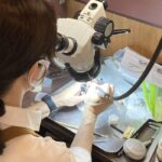 彫金教室で実体顕微鏡を使いダイヤを石留めする写真